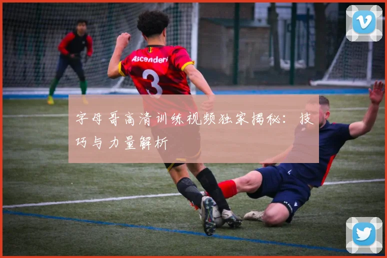 字母哥高清训练视频独家揭秘：技巧与力量解析